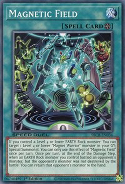 Magnetic Field