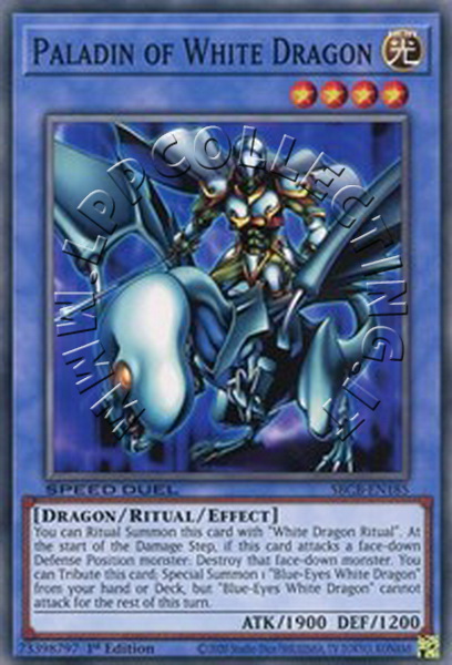 Paladin of White Dragon