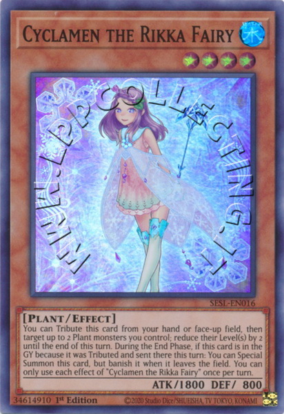 Cyclamen the Rikka Fairy