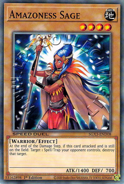 Amazoness Sage