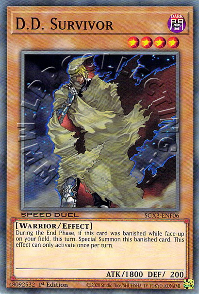 D.D. Survivor