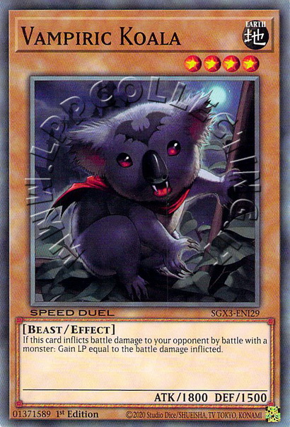 Vampiric Koala
