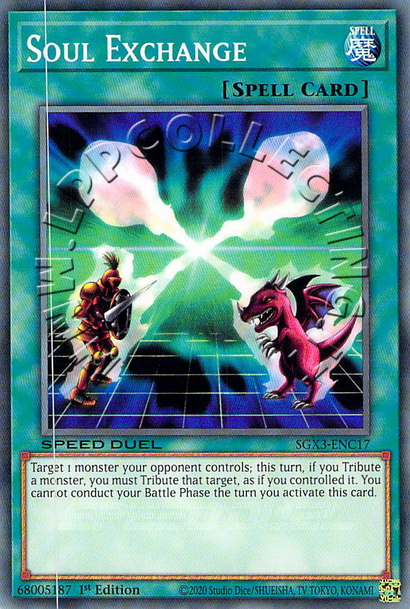 Soul Exchange