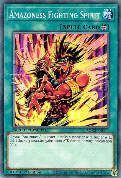Amazoness Fighting Spirit