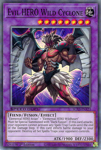 Evil HERO Wild Cyclone