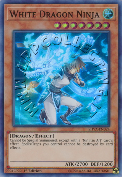 White Dragon Ninja