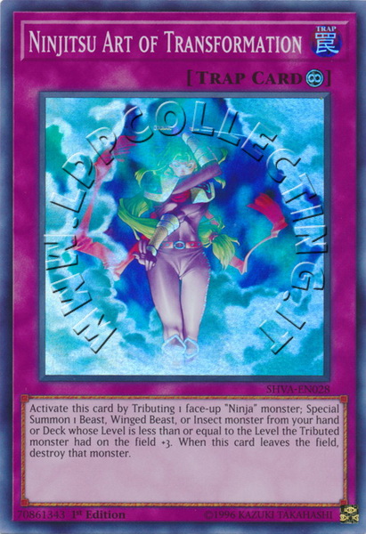 Ninjitsu Art of Transformation
