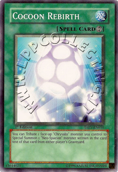 Cocoon Rebirth