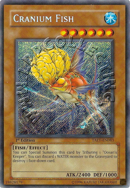 Cranium Fish