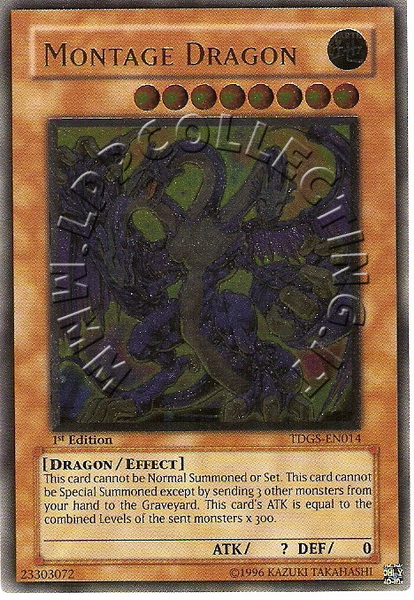 Montage Dragon