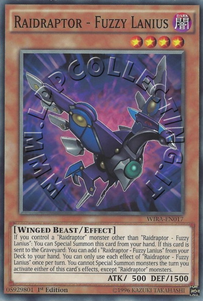 Raidraptor - Fuzzy Lanius