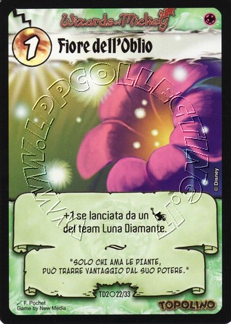 Fiore dell