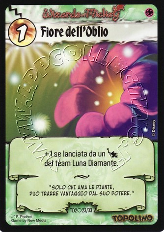Fiore dell