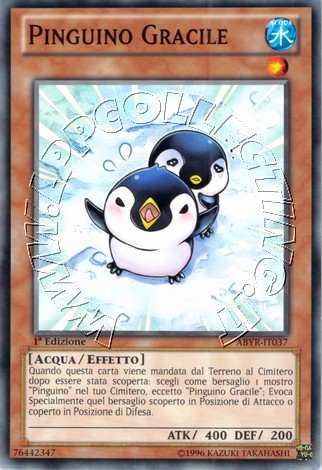 Pinguino Gracile