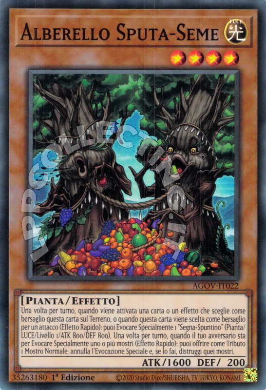 Alberello Sputa-Seme