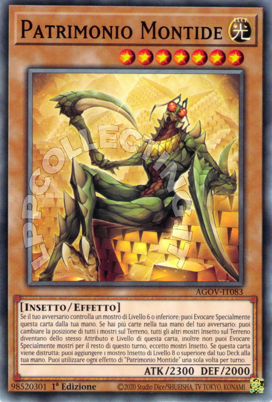 Patrimonio Montide