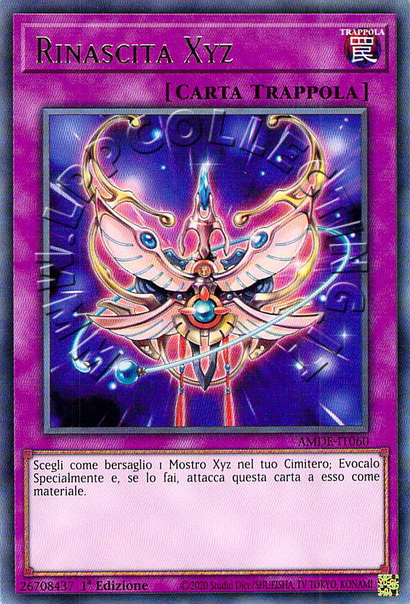 Rinascita Xyz