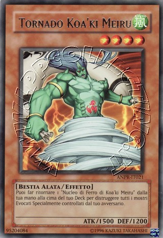 Tornado Koa