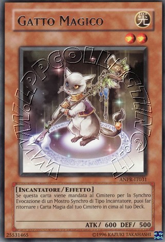 Gatto Magico