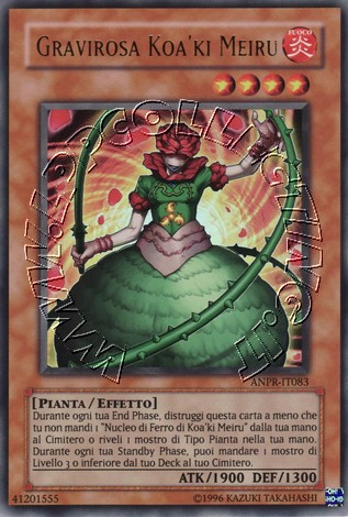 Gravirosa Koa