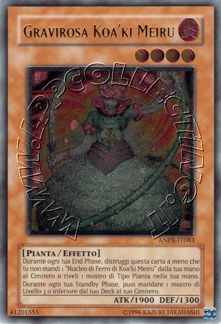 Gravirosa Koa