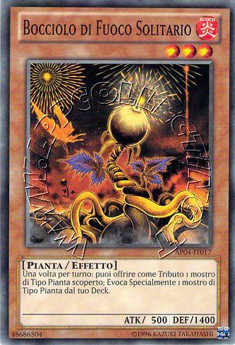 Bocciolo di Fuoco Solitario