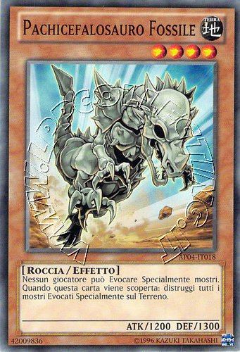 Pachicefalosauro Fossile