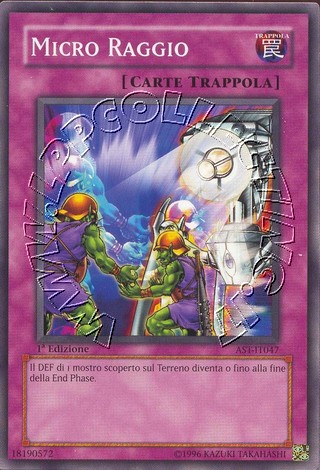 Micro Raggio