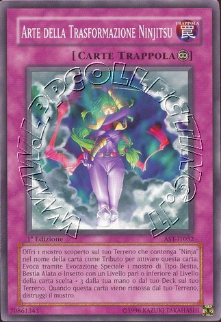 Arte della Trasformazione Ninjitsu
