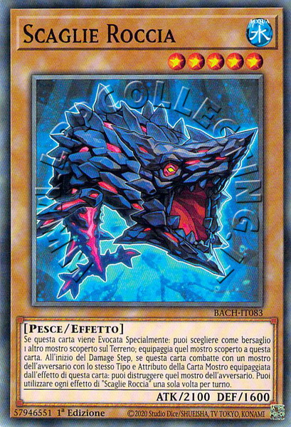 Scaglie Roccia 