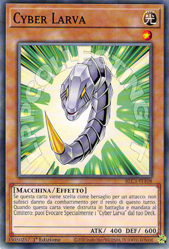 Cyber Larva