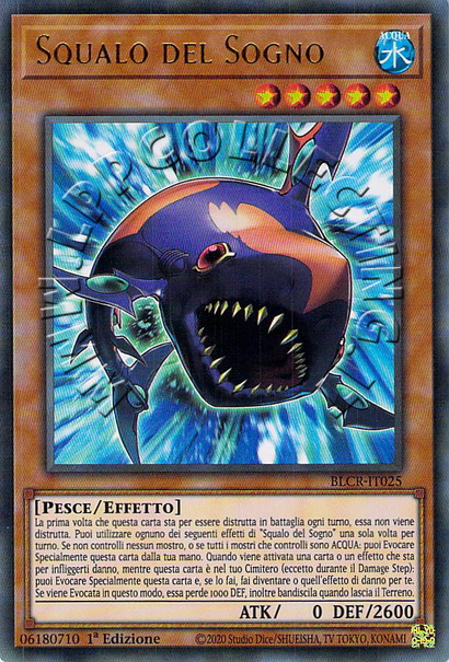 Squalo del Sogno