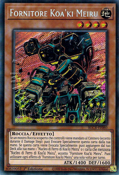 Fornitore Koa