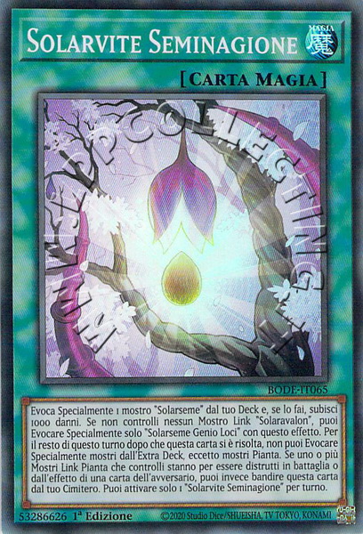 Solarvite Seminagione