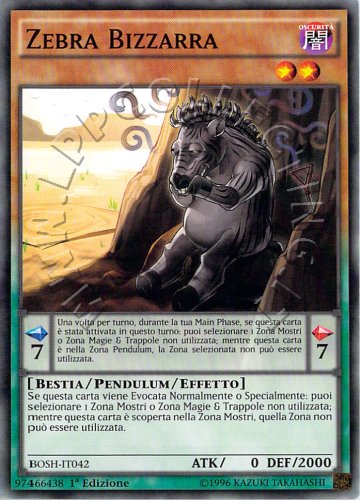 Zebra Bizzarra