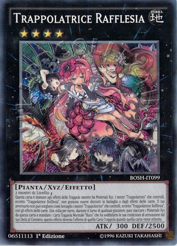 Trappolatrice Rafflesia