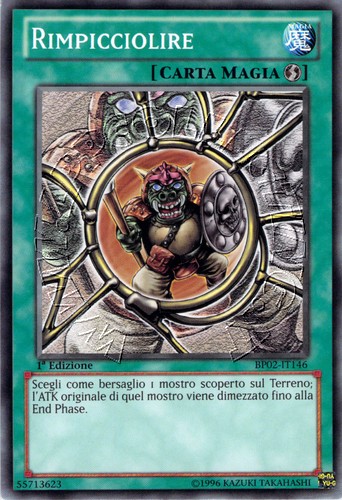 Rimpicciolire