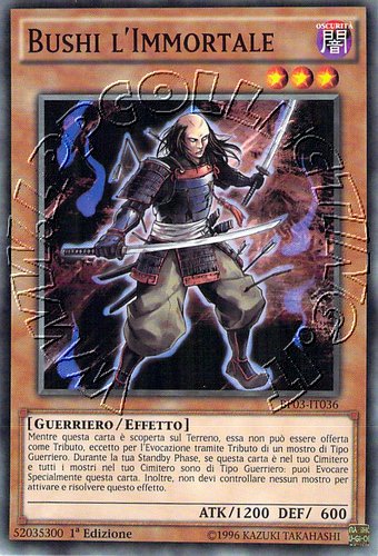 Bushi l