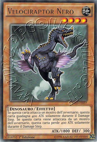 Velociraptor Nero