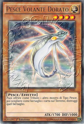Pesce Volante Dorato