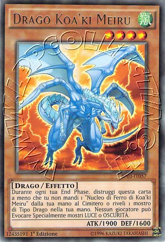 Drago Koa