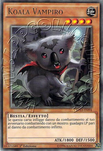 Koala Vampiro