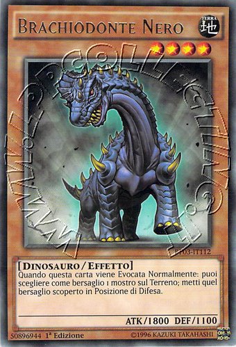 Brachiodonte Nero
