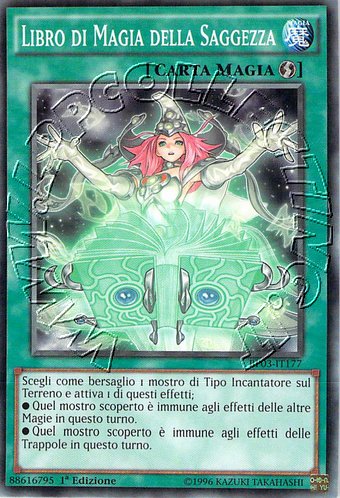 Libro di Magia della Saggezza