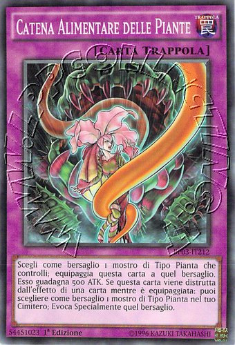 Catena Alimentare delle Piante