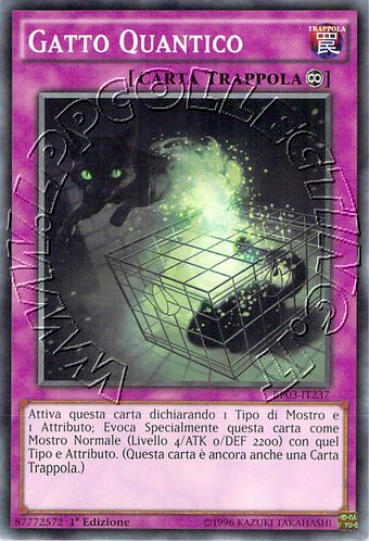 Gatto Quantico