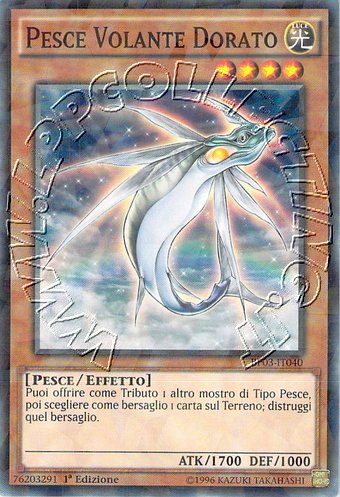 Pesce Volante Dorato