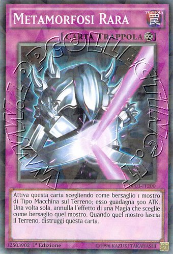 Metamorfosi Rara