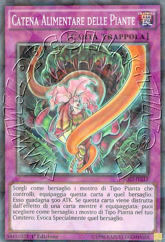Catena Alimentare delle Piante