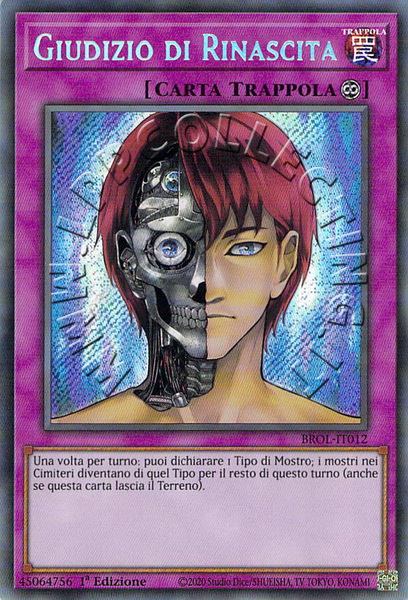 Giudizio di Rinascita 